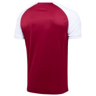 Футболка игровая CAMP Reglan Jersey JFT-1021-G1, гранатовый/белый